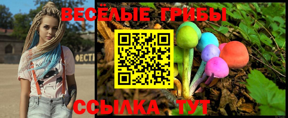 Нововоронеж  Псилоцибиновые грибы Psilocybine cubensis  Вход с VPN 